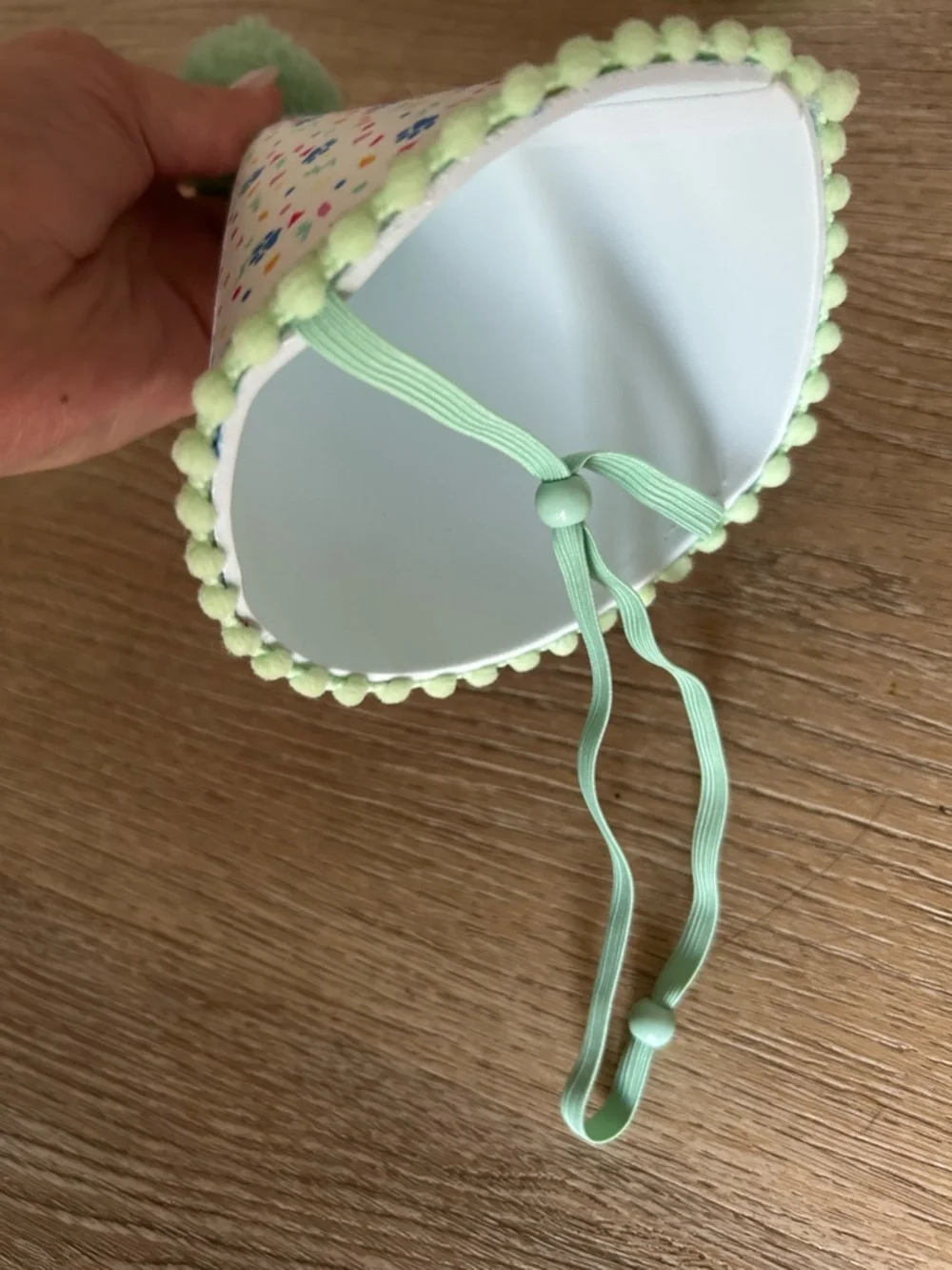 Dog Party Animal Birthday Hat - Mint Pom Pom